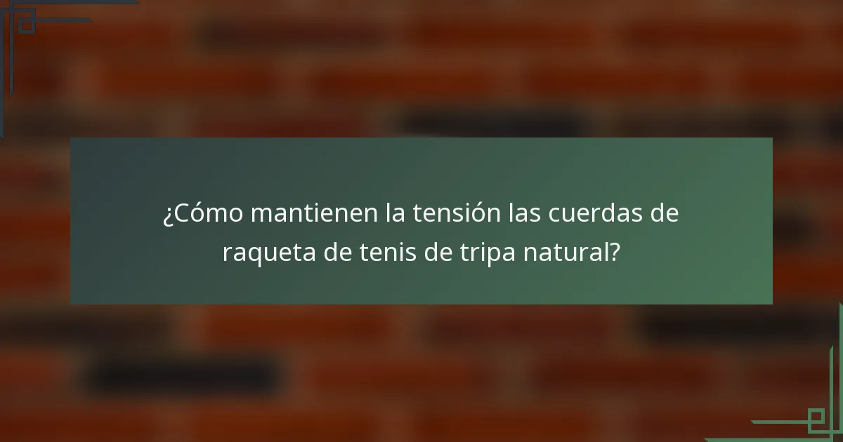 ¿Cómo mantienen la tensión las cuerdas de raqueta de tenis de tripa natural?