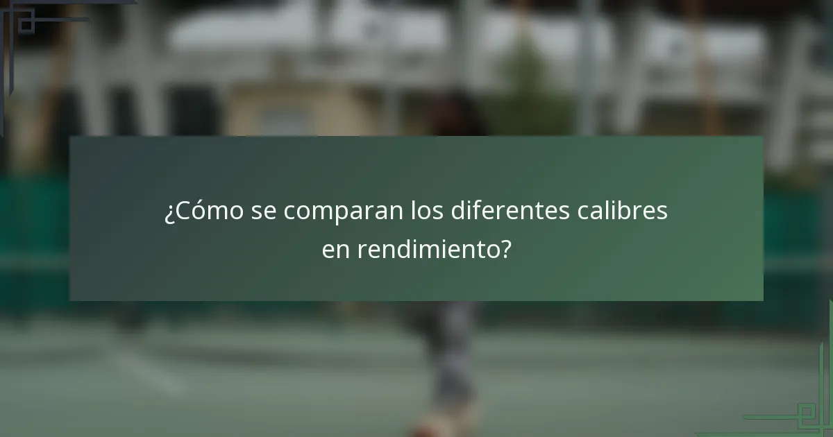 ¿Cómo se comparan los diferentes calibres en rendimiento?