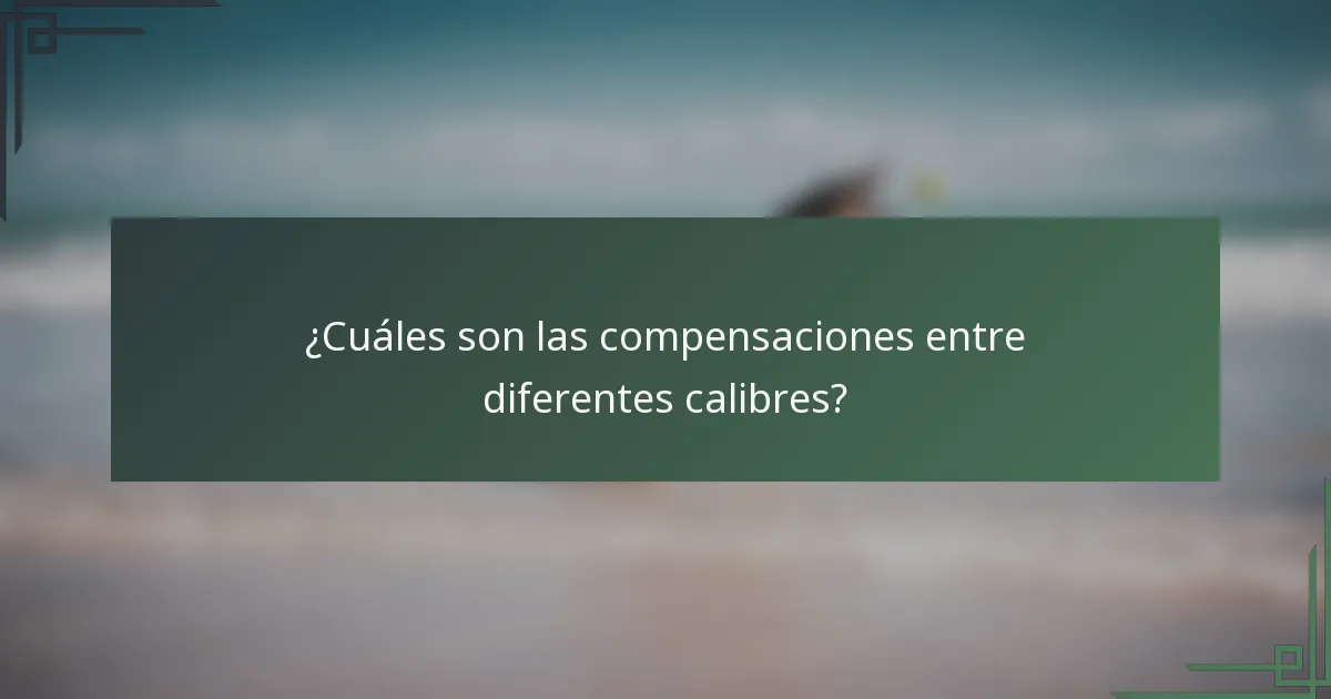 ¿Cuáles son las compensaciones entre diferentes calibres?