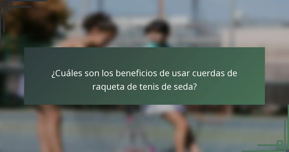 ¿Cuáles son los beneficios de usar cuerdas de raqueta de tenis de seda?