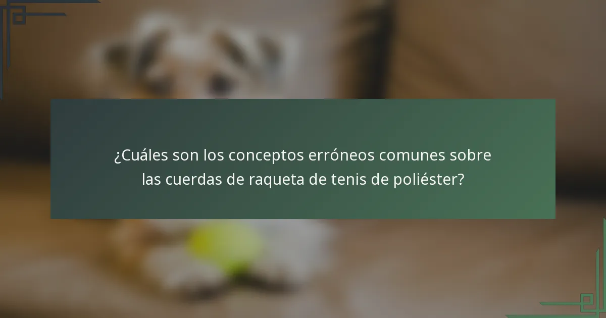 ¿Cuáles son los conceptos erróneos comunes sobre las cuerdas de raqueta de tenis de poliéster?