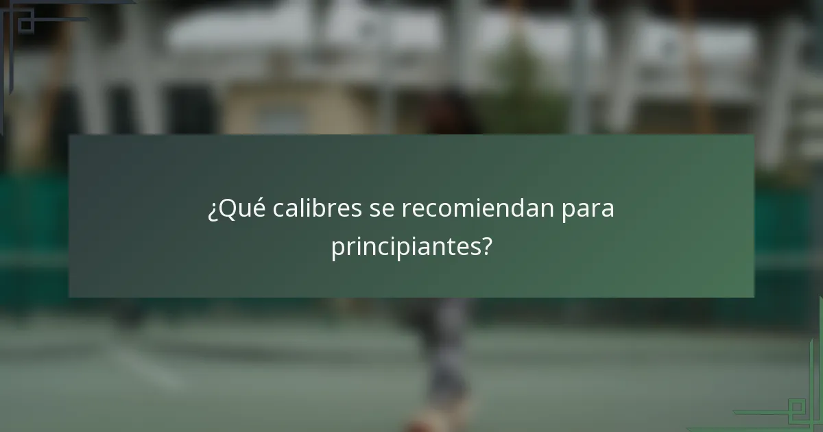 ¿Qué calibres se recomiendan para principiantes?