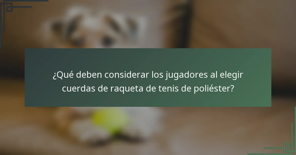 ¿Qué deben considerar los jugadores al elegir cuerdas de raqueta de tenis de poliéster?