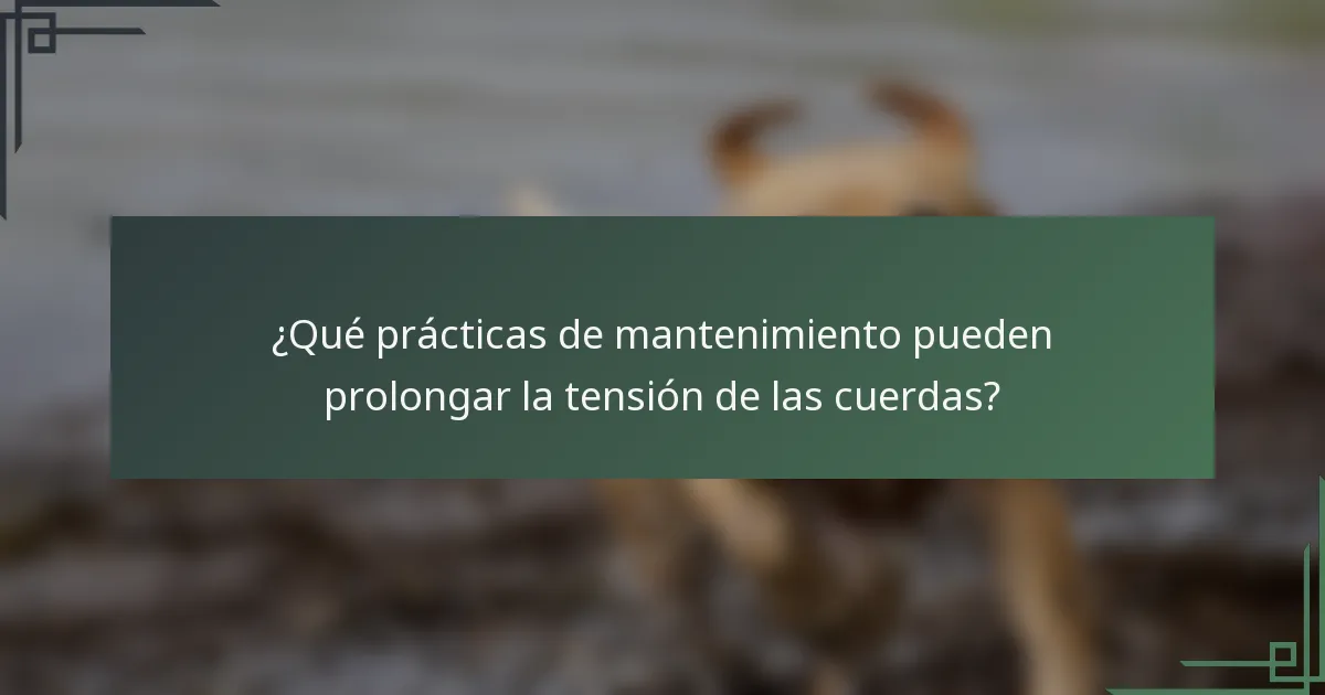 ¿Qué prácticas de mantenimiento pueden prolongar la tensión de las cuerdas?
