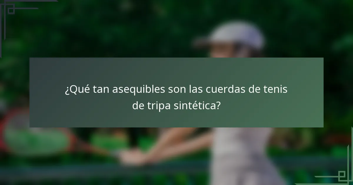 ¿Qué tan asequibles son las cuerdas de tenis de tripa sintética?
